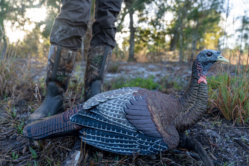 Beginner's Guide to Scouting for Turkey