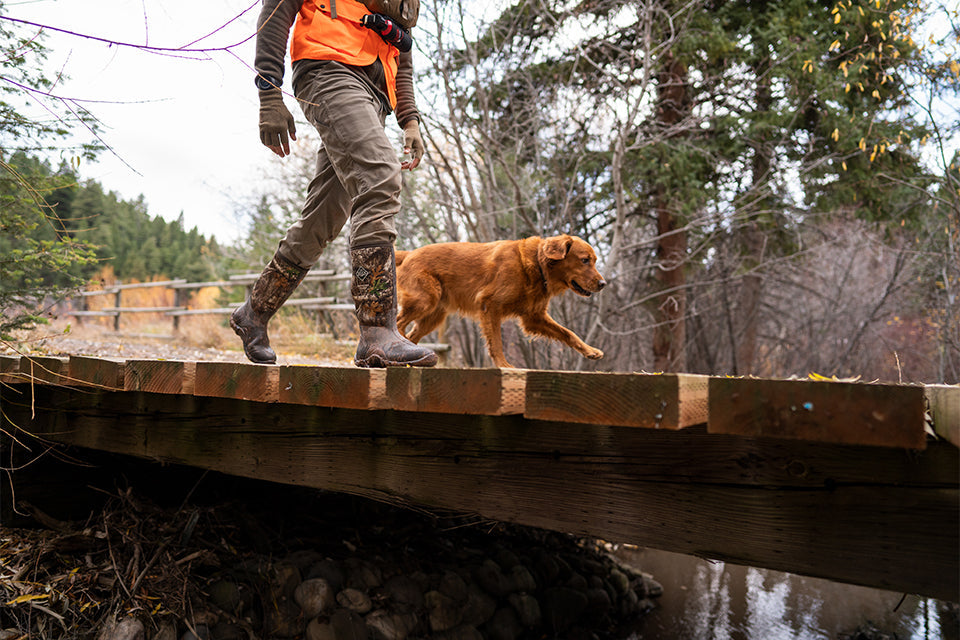 Fieldblazer Collection