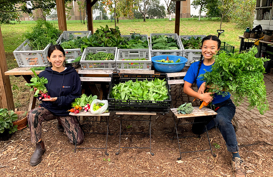 Two young farmers showing their vegetables they have grown.