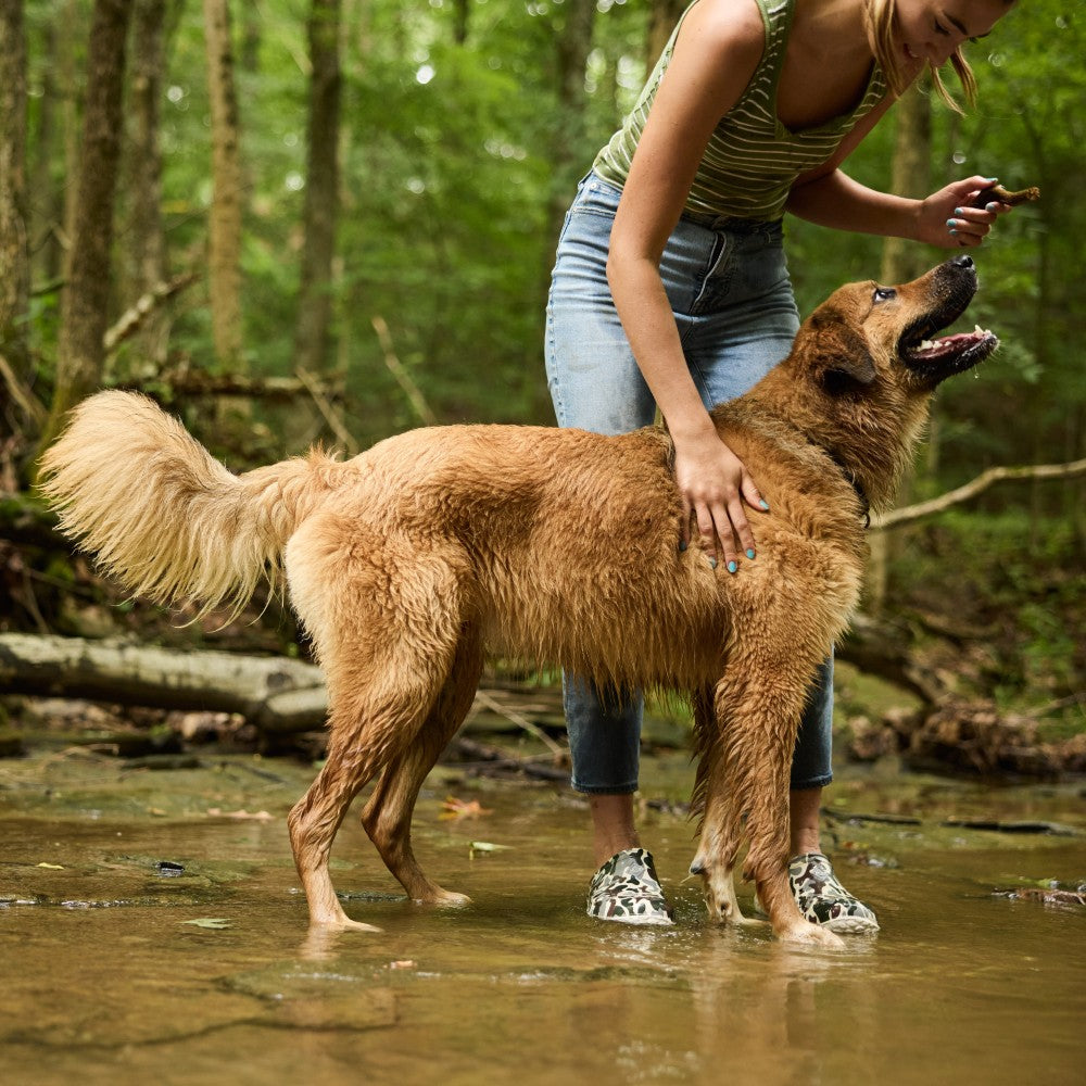 Women with dog standing in stream wearing Muck Waterproof Shoes