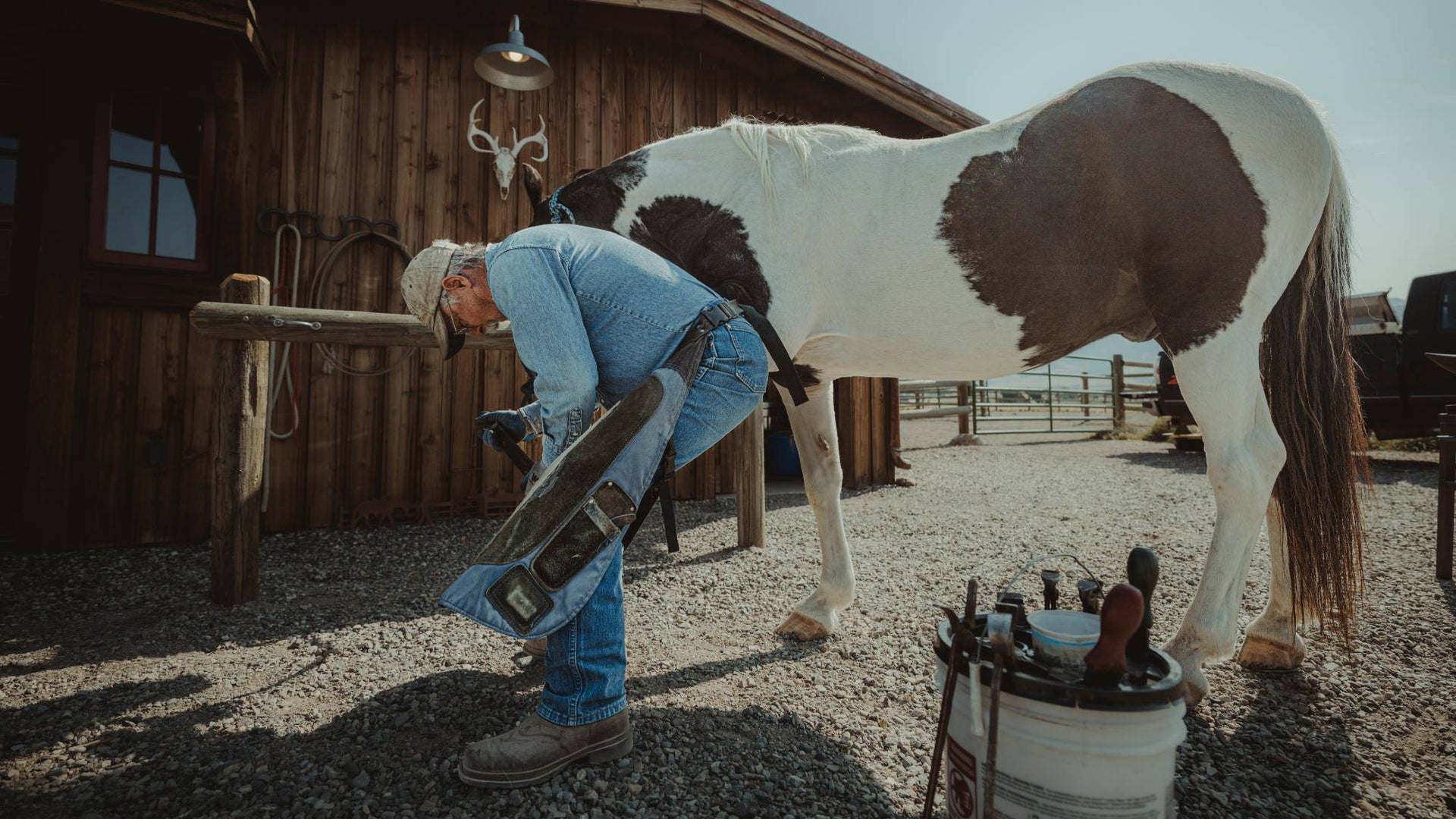 Farrier grooming a horse in a rustic outdoor setting with wooden buildings.