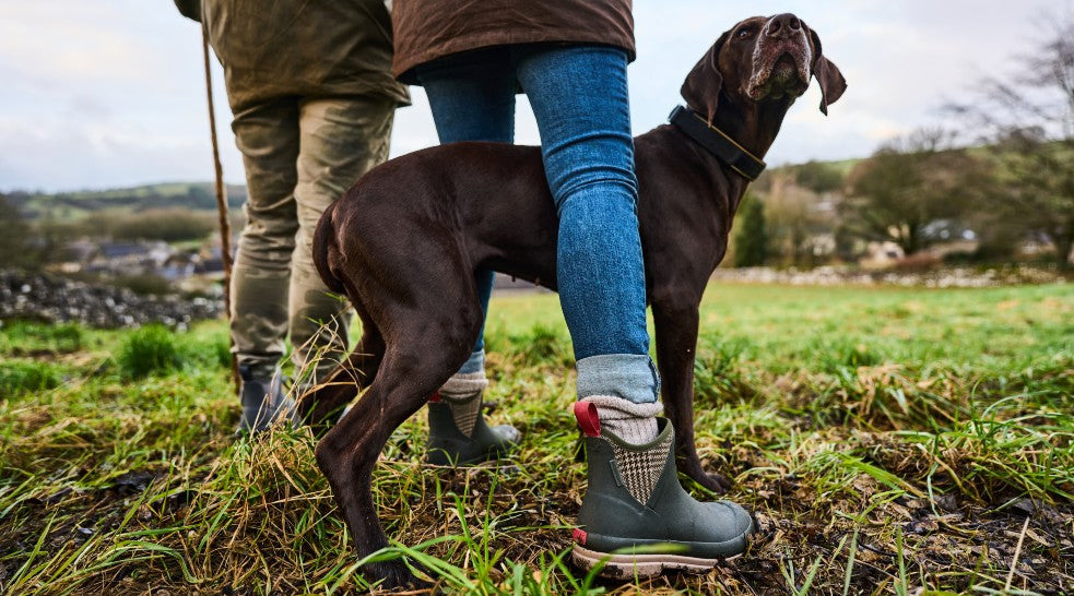 Dog Walking Boots & Shoes