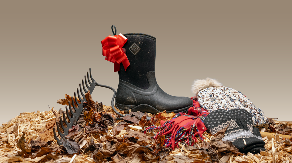 For the Everyday Explorer