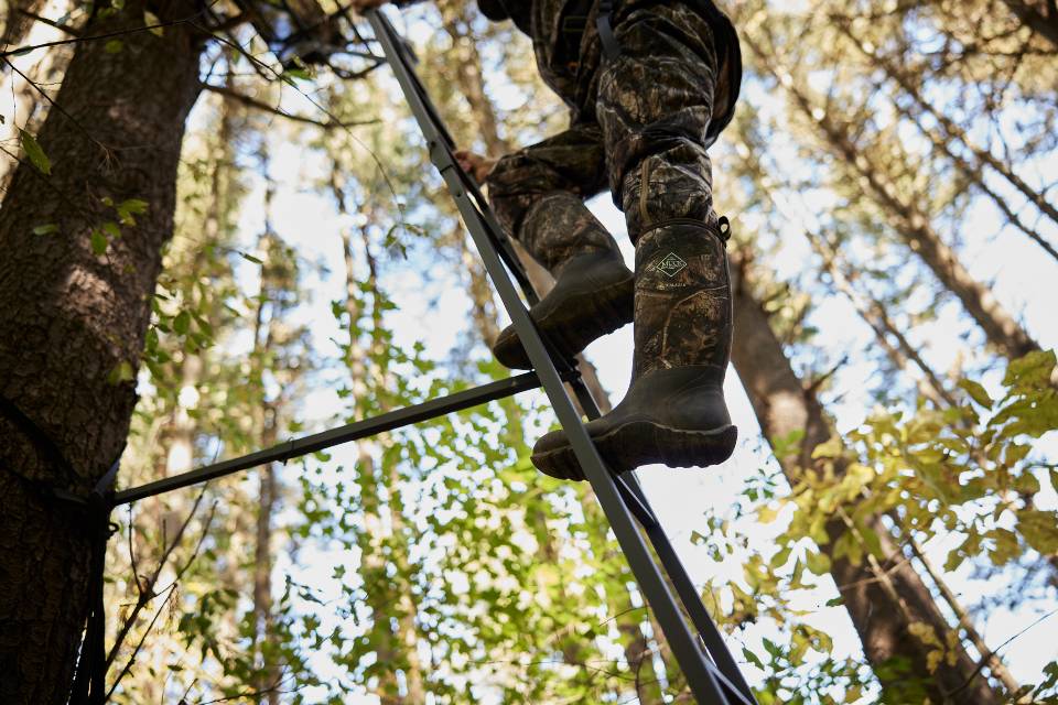 Deer Hunting