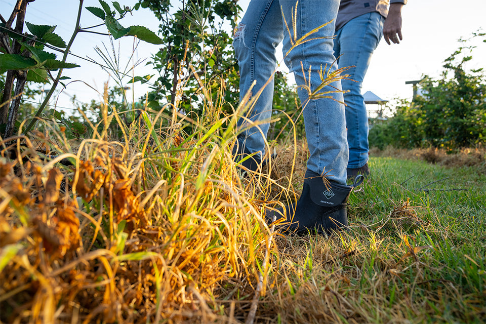 Man wearing Edgewater Classic Ankle Boots in tall grass