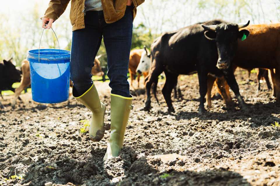 Waterproof Rubber Boots