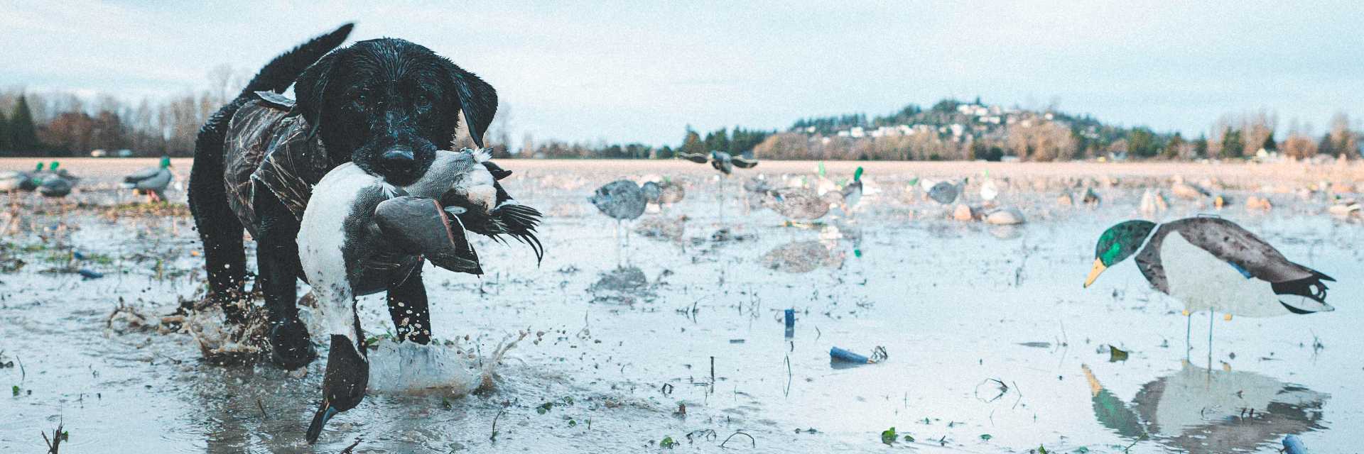 Waterfowling Boots