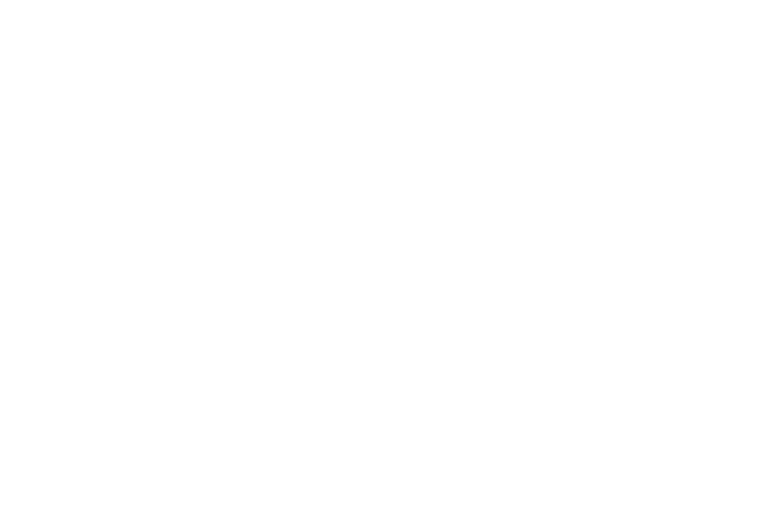 Barn Busters Workmark