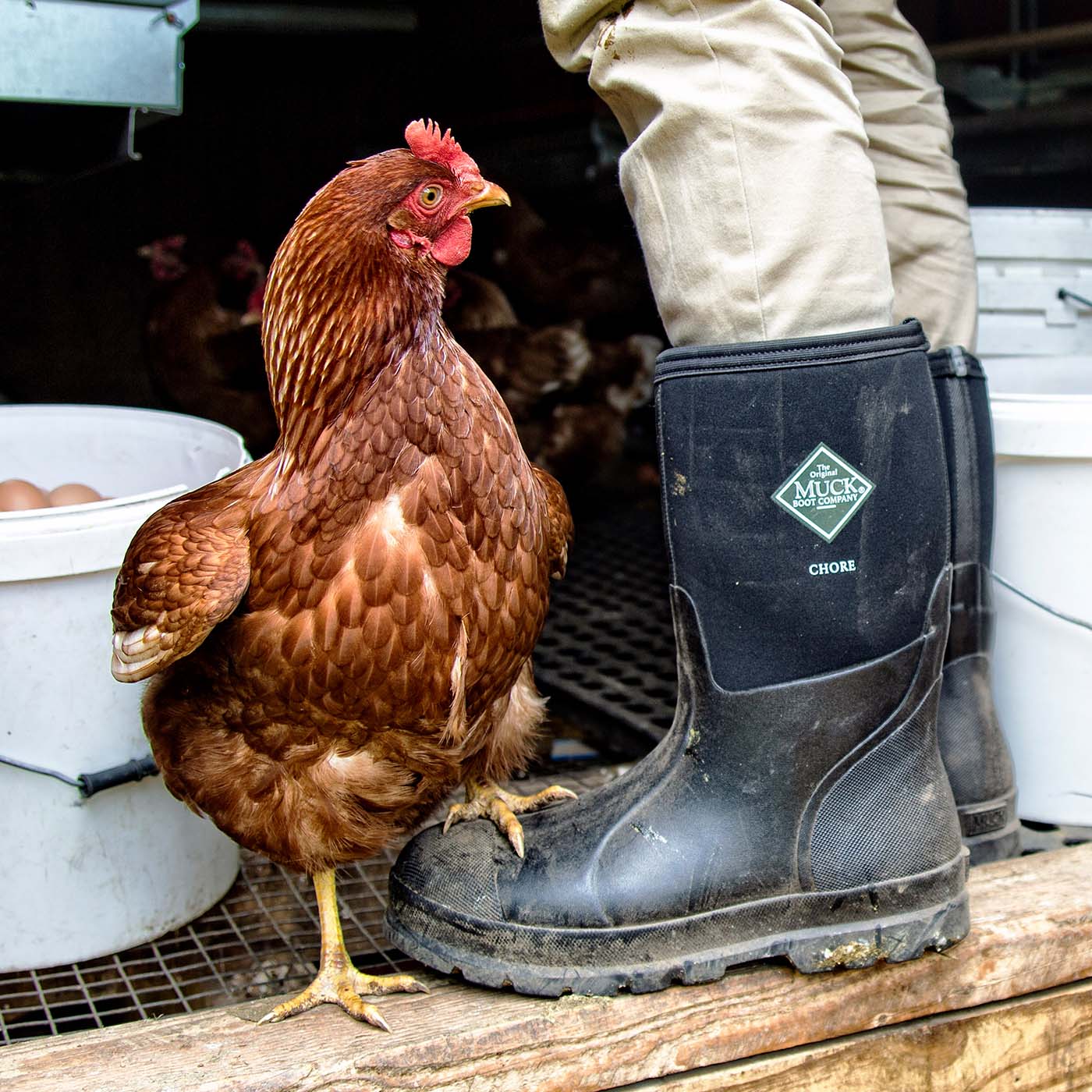 Men's Chore Classic Mid Work Boot – The Original Muck Boot Company
