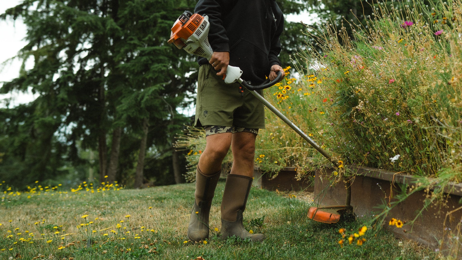 Person using a chainsaw on a bush with trees and grass in the background