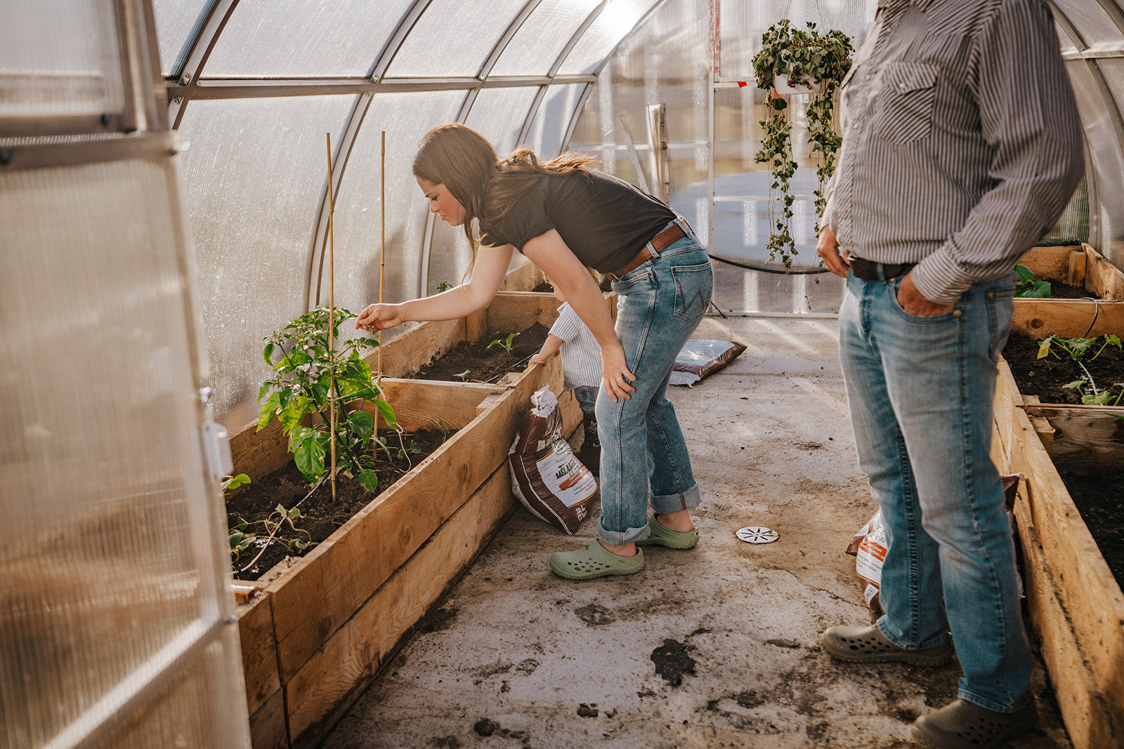 Abigail examining one of her plants in a greenhouse.