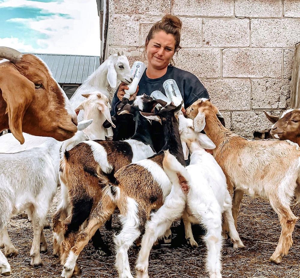 Elizabeth Taffett feeding baby goats in a barn setting