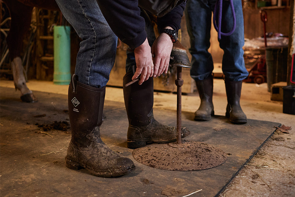 Two people reshoeing horse wearing Muck Chore Boots