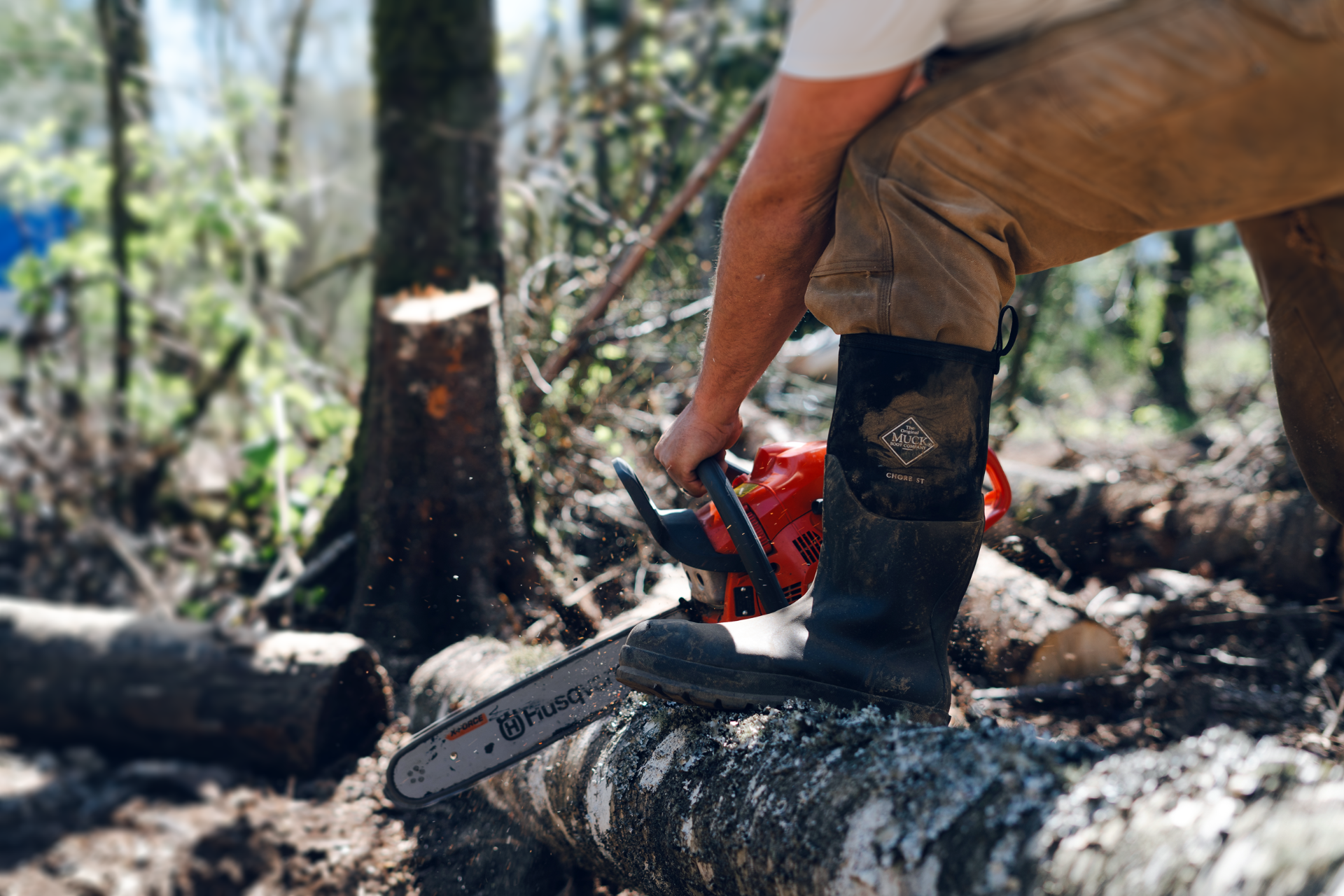 Person using a chainsaw on a log in a forest setting